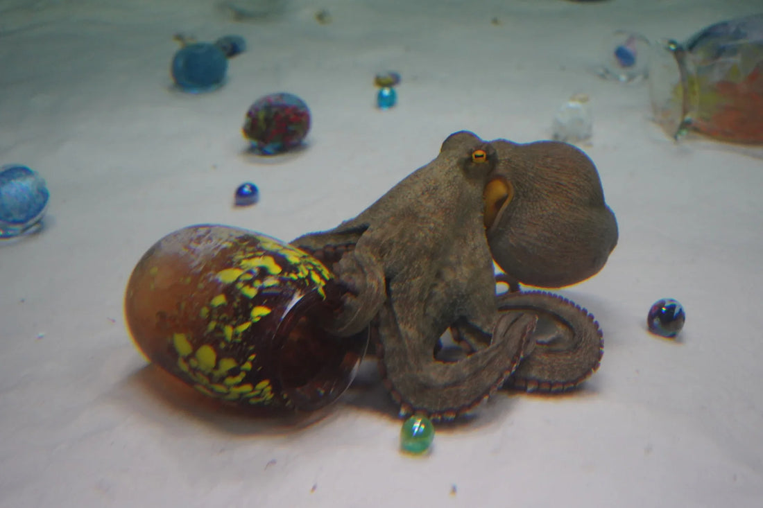 When an Octopus Engages with Art - A Groundbreaking Fusion of Biology, Technology, and Creativity
