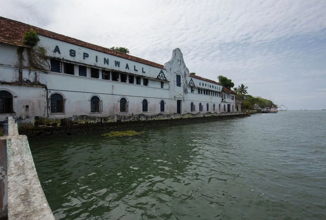 Kochi-Muziris Biennale 2025: A Global Celebration of Contemporary Art Across South Asia